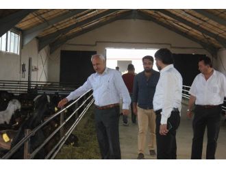 İl Müdürü Yılmaz Damızlık Keçi Çiftliğini Ziyaret Etti