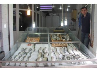 Balık Fiyatları Düştü, Satışlar Arttı