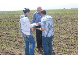 Muş’ta Yem Bitkileri Kontrol Ediliyor