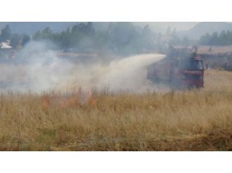 Erzincan’da Anız Yangını Korkuttu