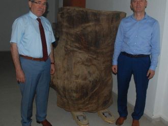 200 Yılık Kütük Ambara Devlet Kuşu Kondu