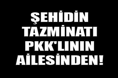 Şehidin tazminatı PKKlının ailesinden! 
