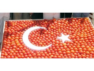 Domates, Soğan Ve Patates Üreticisine Hastalık Uyarısı