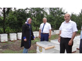 Kadın Çiftçiler Para Kazanacak
