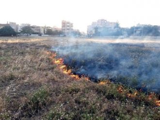 Adıyaman’da Otluk Alandaki Yangın Korkuttu