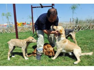 Pet Shop Sahiplerine Sertifika Eğitimi