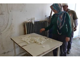 Bilecik Eski Günlerine Geri Dönüyor