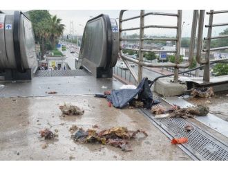 Üst Geçide Bırakılan Şüpheli Çanta Panik Yaşattı