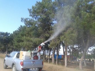 Orhangazi’de Çam Ağaçları İlaçlanıyor