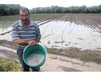 20 Dakika Yağan Dolu 18 Dönüm Arazide Ürün Bırakmadı