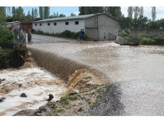Başkent’te Aşırı Yağış Dereyi Taşırdı, 22 Hayvan Telef Oldu