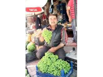 Kilis’te, Asma Koruğu Piyasada