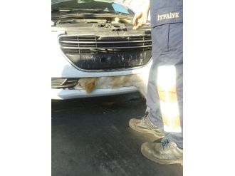 Köpeğin Çaresi Bekleyişi