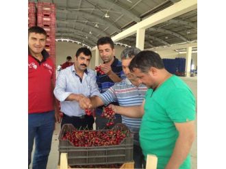 1 Bardak Çay Fiyatına 1 Kilo Kiraz
