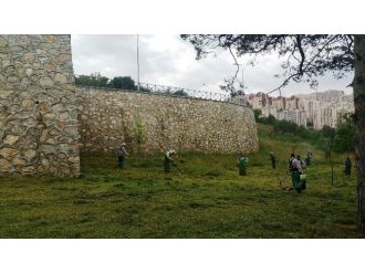 Cephanelik’te Genel Bakım Var
