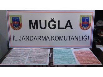 Marmaris’te Uyuşturucu Hap Operasyonu