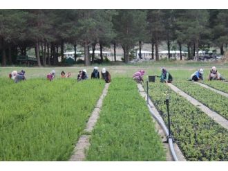 Tyçp İşçilerinden Tam Verim