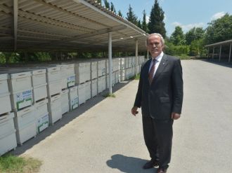 Bursa’da Arı Yetiştiricilerine 450 Kovan Dağıtıldı