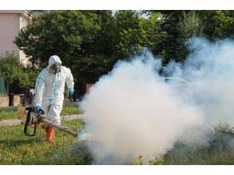Edirne Belediye Başkan Yardımcısı Tanrıkulu, Çeltik Üreticilerine Uyarılarda Bulundu