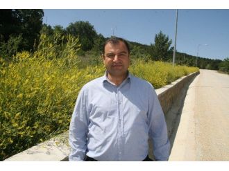 Yozgat Çamlığı Bahar Mevsimde Başka Bir Güzel