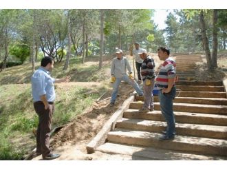 Bolvadin Horan Parka Ahşap Merdivenli Yol Yapılıyor