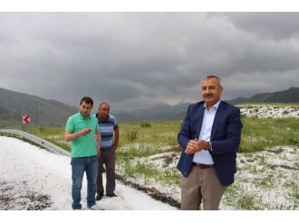 Erzurum’da Dolu Sürprizi