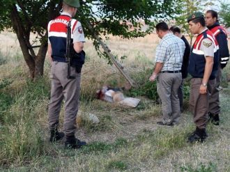Taşlama Makinesiyle Budama Yaparken Kendisini Kesip Öldü