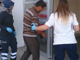 Akrebin Soktuğu Kişi Hastaneye Kaldırıldı