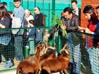Giresun Hayvanat Bahçesi Ziyaretçilerini Bekliyor