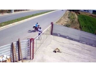 Şehir Magandaları Kendilerine Havlayan Köpeği Pompalı Tüfekle Öldürdü