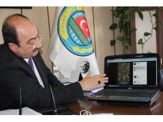 Aşırı Yağışlar Tarım Alanlarını Vurdu
