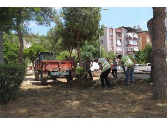 Nazilli’de Tahrip Olan Parklar Yeni Yüzüne Kavuşuyor