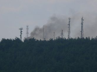 Kent Ormanındaki Duman Korkuttu