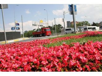 Çiçekler, Sultanbeyli’ye Renk Kattı