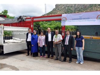 Gümüşhane’de Çiftçilere Ceviz Fidanı Dağıtıldı