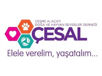Hayvan Severler Derneğinden, Fatih Terim’e Cevap
