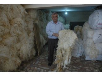 İthal Yün Pahalı Yerli Yün Bulunmuyor