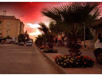 Çiçeklerle Donanan Araban, Tablo Resim Görünümünde
