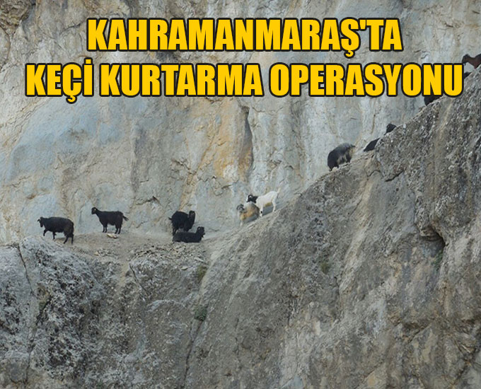 Kahramanmaraşta Keçi Kurtarma Operasyonu 