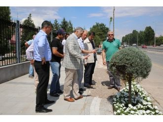 Eski Çevreyol’da Peyzaj İncelemesi