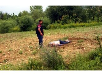 Cenazeye Giderken Kaza Yaptılar: 1 Ölü, 7 Yaralı