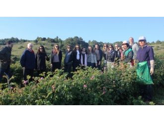 L’oreal-paris Yöneticileri, Isparta’da Gül Bahçelerini İnceledi