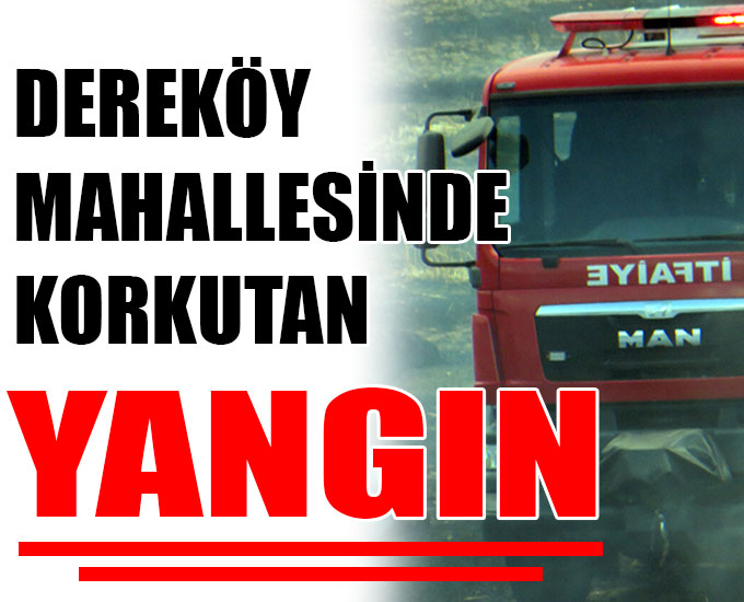Dereköy Mahallesinde Korkutan Yangın