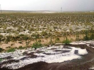 Niğde’de Tarlaları Dolu Vurdu