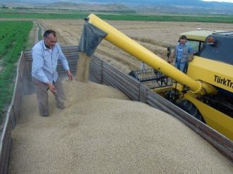 Yozgat’ta Hububat Hasadı Başladı