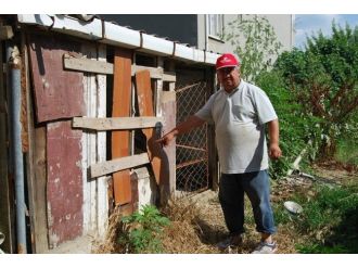 Her Yerde Kaybolan Köpeğini Arıyor