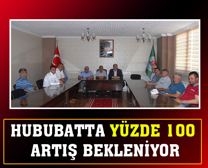 Hububatta Yüzde 100 Artış Bekleniyor