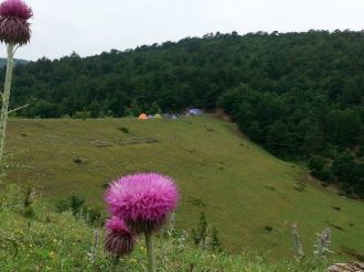 Sağanak Yağış Altında Kamp