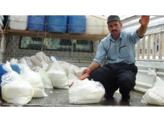 Bitlis’te Peynir Sezonun Başlamasıyla Birlikte Fiyatlar Tavan Yaptı