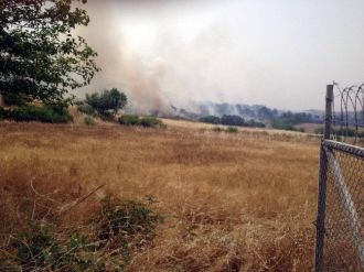 Kulp’ta 100 Dönümlük Buğday Tarlası Kül Oldu